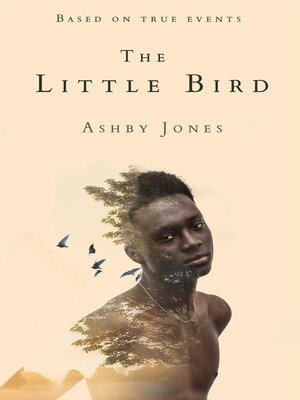 cover image of Little Bird
